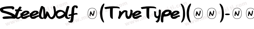 SteelWolf 中(TrueType)(西方)字体转换
